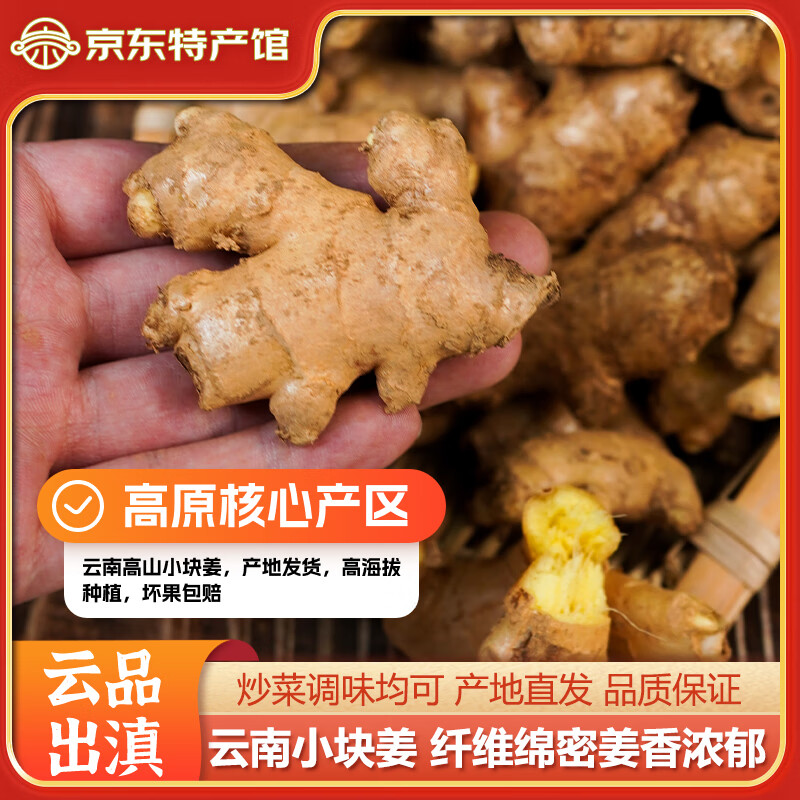 滇鲜生云南小黄姜小块姜老姜新鲜现挖生姜食用艾灸足浴泡脚小姜块 小块小黄姜*1斤【净重】
