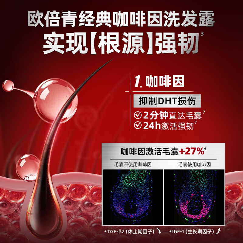 欧倍青（Alpecin）洗护套装咖啡因洗发水无硅油控油洗头膏男女滋养发根洗发露 【洗护滋养套装】250+200ml