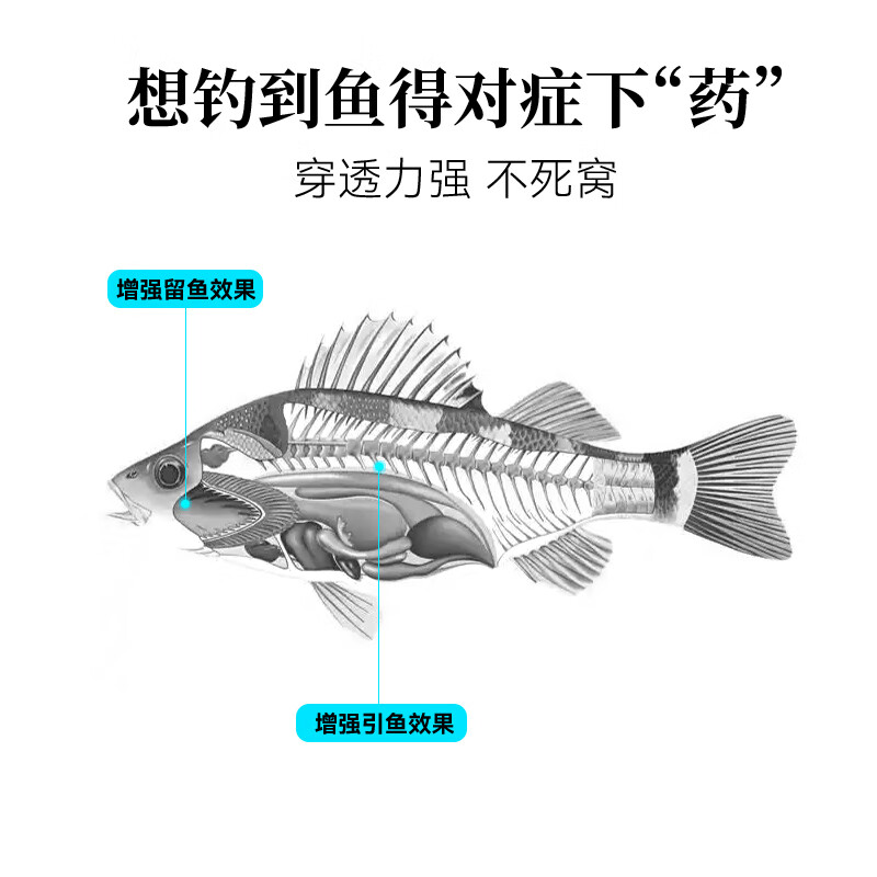JIBIKE【冬季套装】钓鱼小药高浓度诱鱼剂鲫鱼鲤鱼 鱼饵小药野钓通杀 【全规格组合装】任选7瓶