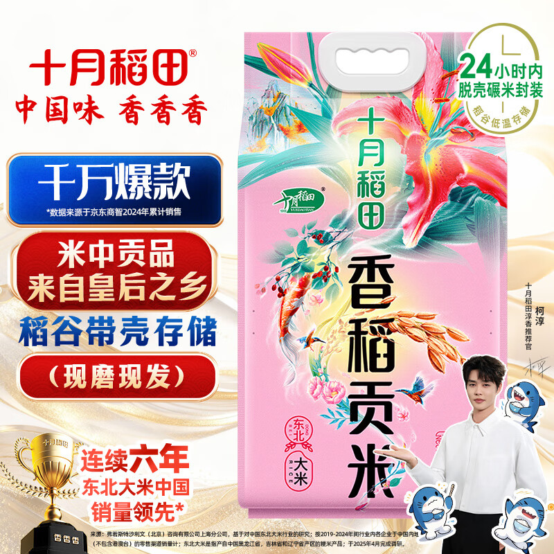 十月稻田 香稻贡米 东北大米 10斤（香米 粳米 5公斤/十斤）