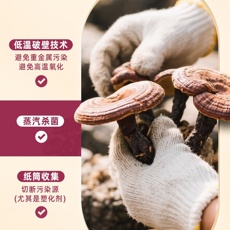 喜诺今破壁灵芝孢子粉60g一盒(2g*30袋)增强免疫力赠灵芝切片