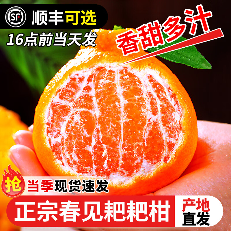 ȹ ҰҸ Ĵʸ ˮ 4.5-5 65mm+ 15.88Ԫ