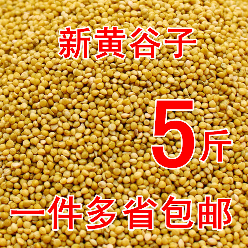 带鸟】相关京东优惠商品排行榜(8) - 价格图片品牌优惠券- 虎窝购