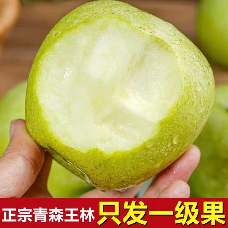 正宗王林苹果生鲜水果当季脆甜雀斑王林青苹果新鲜水果整箱礼盒装 礼盒装【12枚】10斤装【果王送礼】100+mm