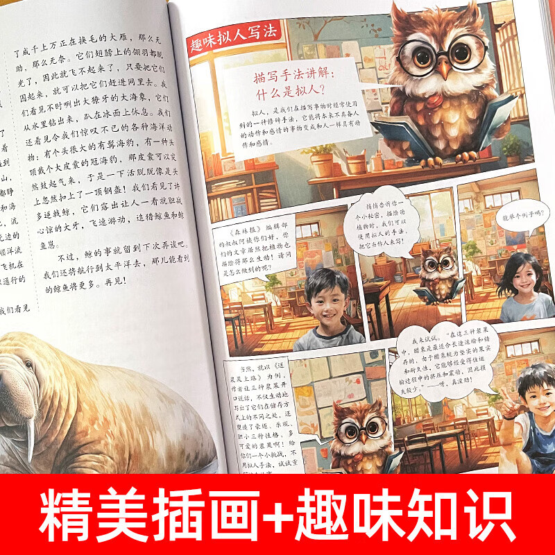 【赠帆布袋】森林画报春夏秋冬全四册 小学生三四五六年级课外阅读书 适合小学8~12岁阅读儿童文学童话故事书绘本书籍童书蜗牛图书 【赠帆布袋】森林画报·春夏秋冬(全4册)