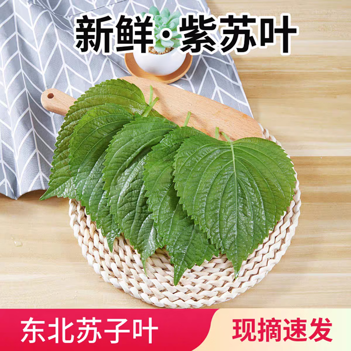 ��������Ҷ������������Ҷճ����Ҷ��ʳ�߲���ժ��Ҷ��¶������ ��ժ500��(����¶������) 15.8Ԫ