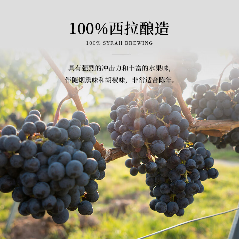金羊毛【国际金奖/澳洲原瓶】澳洲原瓶进口红酒干红葡萄酒酿酒师款送礼 750ml*2瓶