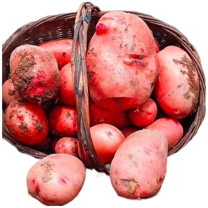  ɻɽƤ 4.5150g+  Դͷֱ 9.89Ԫ