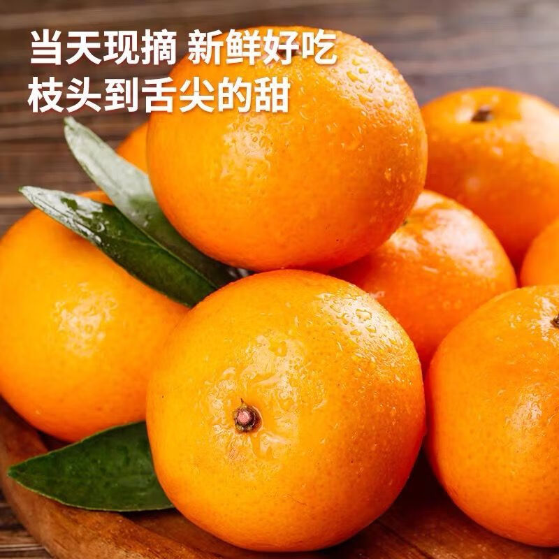 千园九味广西武鸣沃柑 薄皮新鲜丑桔子当季生鲜水果橘子现摘整箱 优选5斤装特大果【净重4.5斤单果70-75mm】