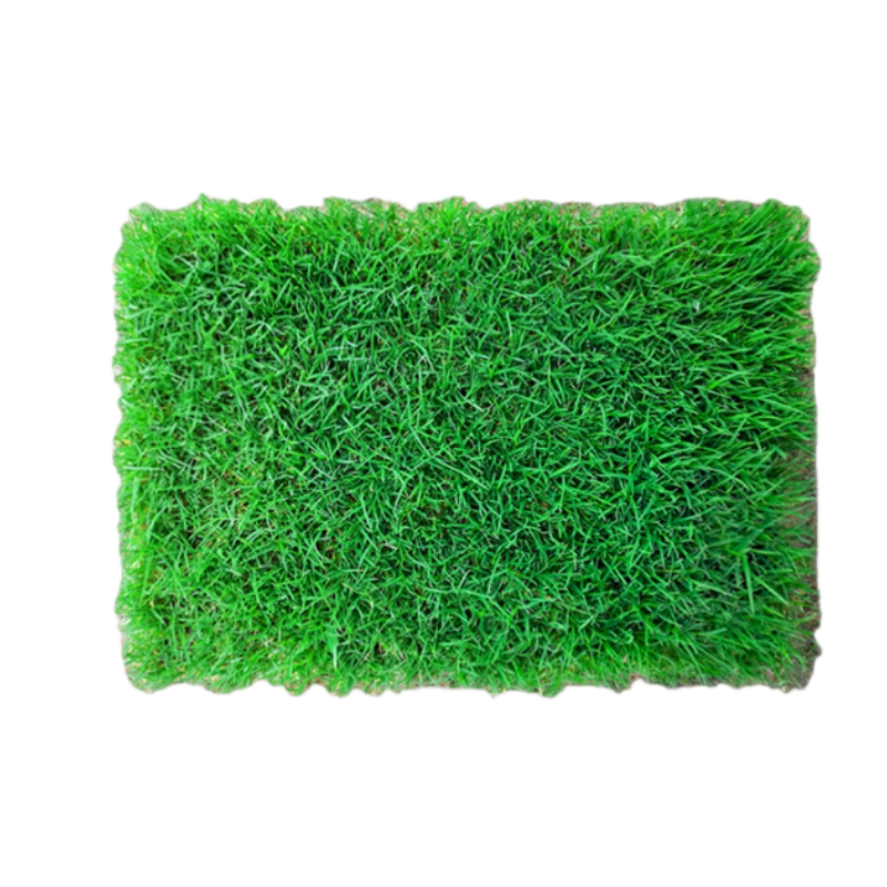 ��ï���ƺ��Ƥ������ͥԺ�̻�������Ƥ������ļ�����������ƺ ����ݲ�ƺ��1ƽ���� 93.99Ԫ��3��(��31.33Ԫ/��)