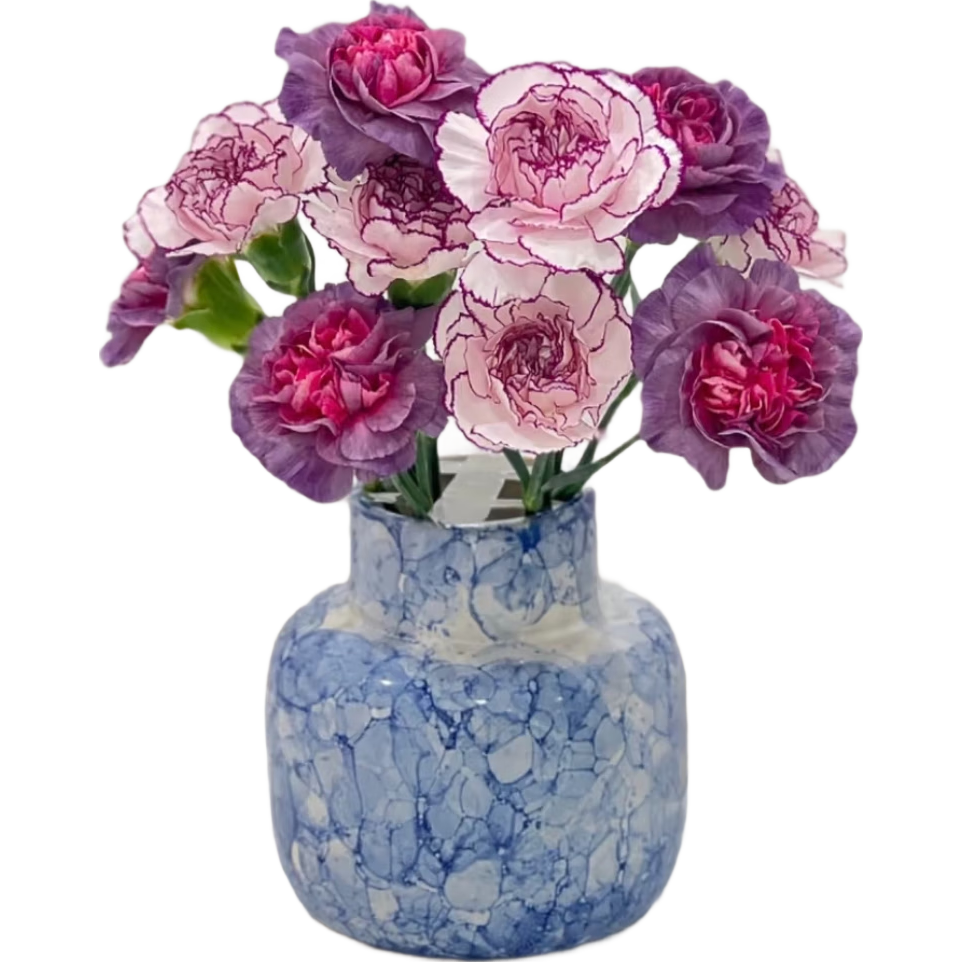 �Ͼ��鿵��ܰ Ұ������ܰ����������л�����ˮ��������ֱ�� Ұ������ܰ5֦ �Ͼ��鿵��ܰ5֦ 10.9Ԫ