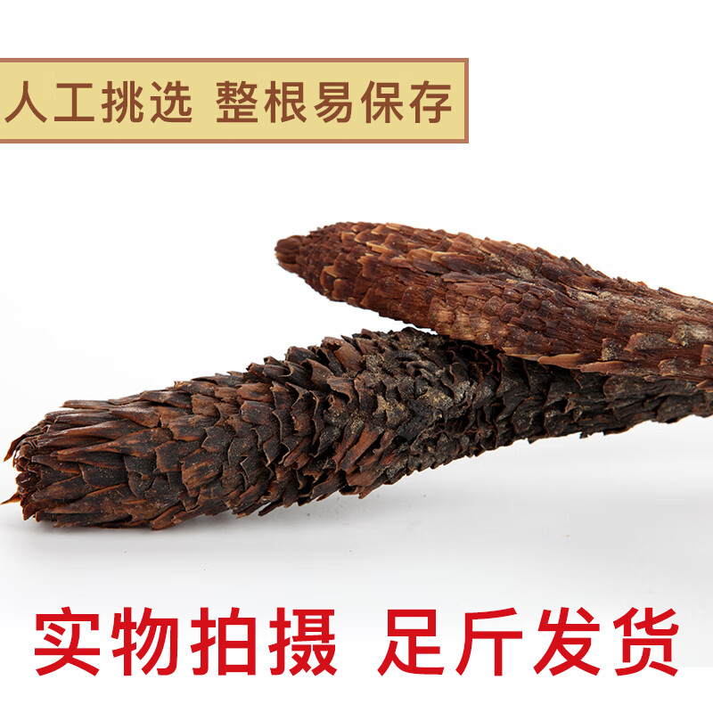 新疆特产 荒漠肉苁蓉整根 （100g-120g）*1根