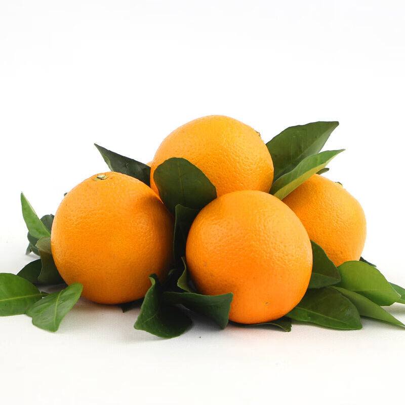 秭归原产脐橙现摘新鲜水果当季橙子甜橙爆汁红橙 9斤中果