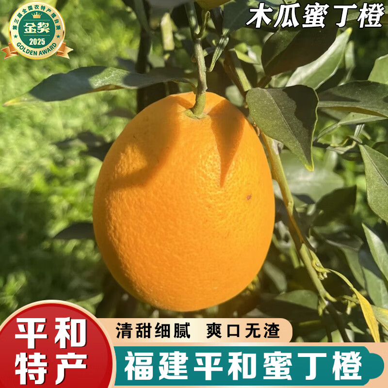 式果礼福建平和木瓜蜜丁橙 纯甜金丝橙引种爆汁果冻橙新鲜水果礼盒 2