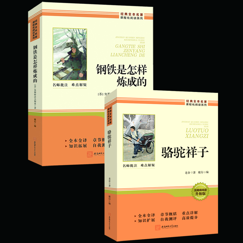 钢铁是怎样炼成的骆驼祥子七年级必读正版原著初中生初一下册必读课外书完整版无删减配套人教版人民教育出版社钢铁是怎样练成的 【配套人教版】骆驼祥子+钢铁 赠配套手册
