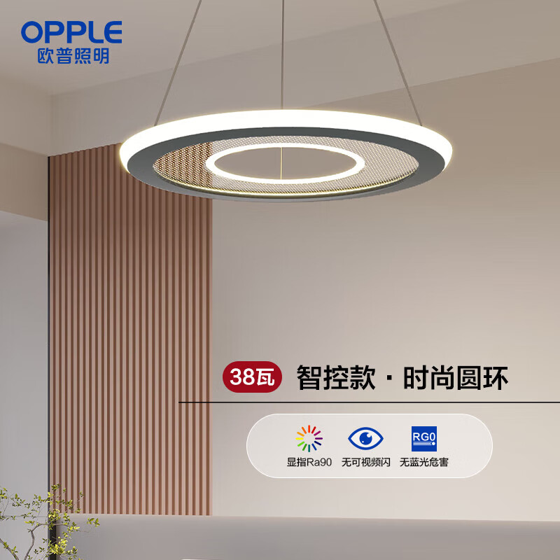 欧普照明（OPPLE）新款轻奢客厅卧室餐厅吊灯北欧风吊灯浪漫 【单环】餐厅/小卧室-38W