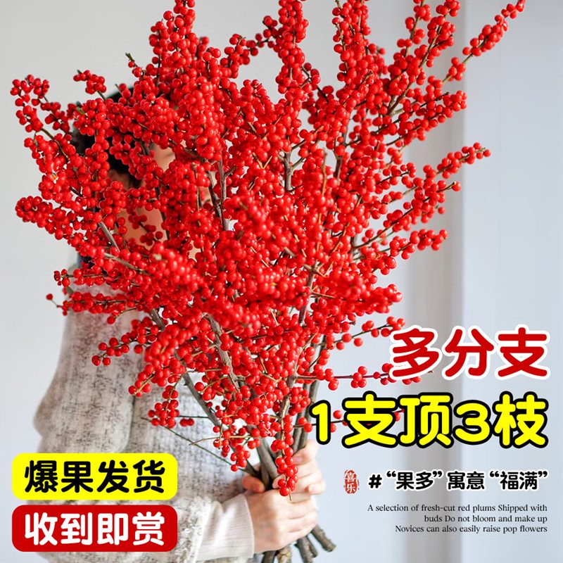 花行榜水培红果鲜切新年花卉盆栽 A级北美冬青60cm5枝+新年挂件源头直发