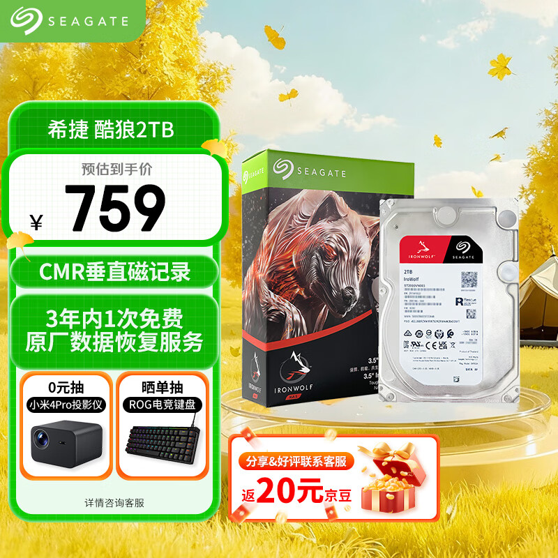 希捷（SEAGATE）NAS硬盘 2TB 256MB 机械硬盘 CMR垂直 静音低耗 数据恢复服务 3.5英寸 希捷酷狼 ST2000VN003