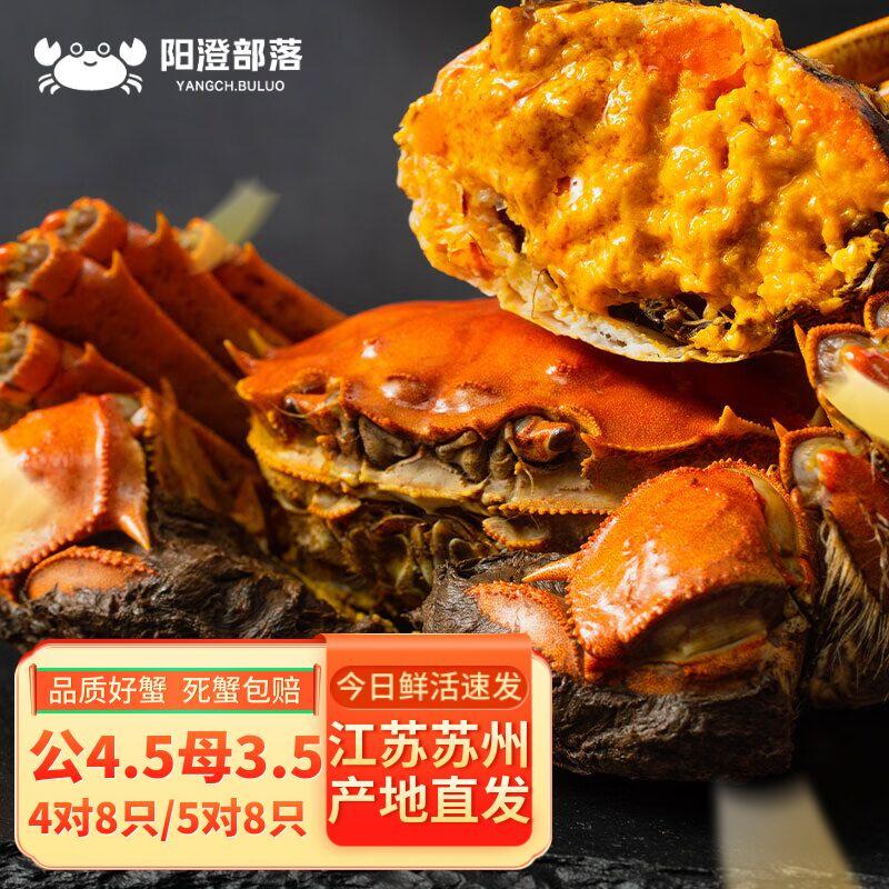 【活蟹】阳澄部落大闸蟹鲜活礼盒装大只螃蟹年货礼盒生鲜 大闸蟹 公4.5 母3.5两/只 4对8只