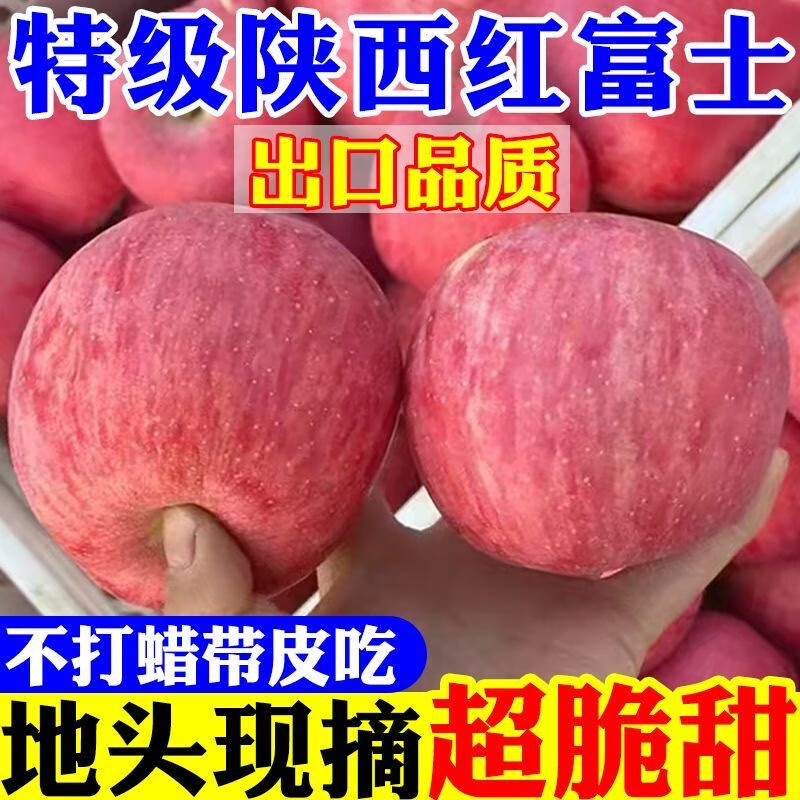【现摘】正宗洛川苹果当季新鲜水果孕妇脆甜红富士苹果冰糖心水果 膜袋富士70mm+带箱9斤