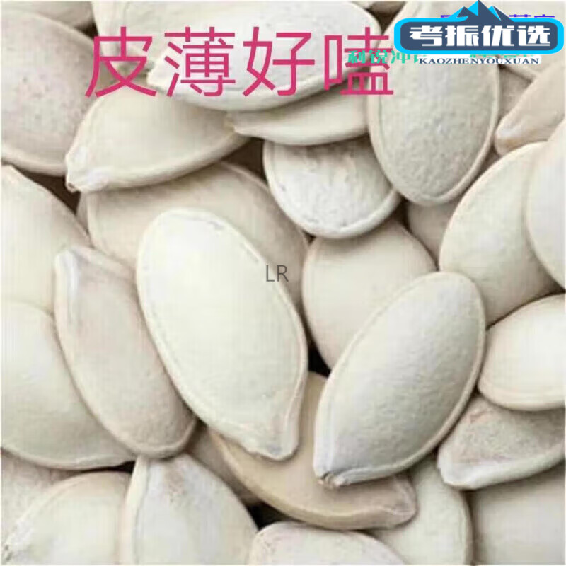 食怀瓜子批发散装5斤新货大白南瓜子大白瓜子大粒白色盐焗原味 原味-半斤[净重]