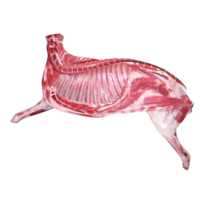 �������� ��ѡ��ֻ����� ���Ÿ�������������Ы�� 10������ʳ�� 187Ԫ