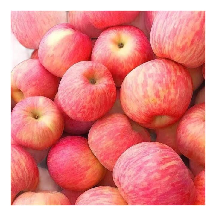 正宗烟台红富士苹果新鲜采摘酸甜多汁 箱装10斤中果（果径75-80mm）精致果型double