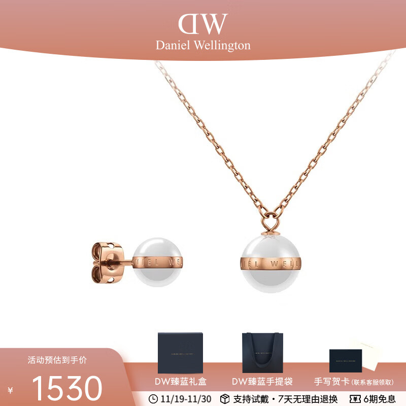 丹尼尔惠灵顿（DanielWellington）dw项链耳饰简约项链耳坠 生日礼物送女友送老婆 DW00400152+D