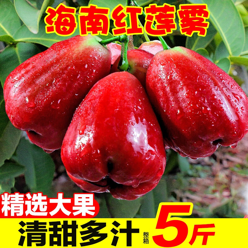 nessa黑金刚红宝石莲雾当季热带海南特产新鲜水果树上熟大果整箱 1斤