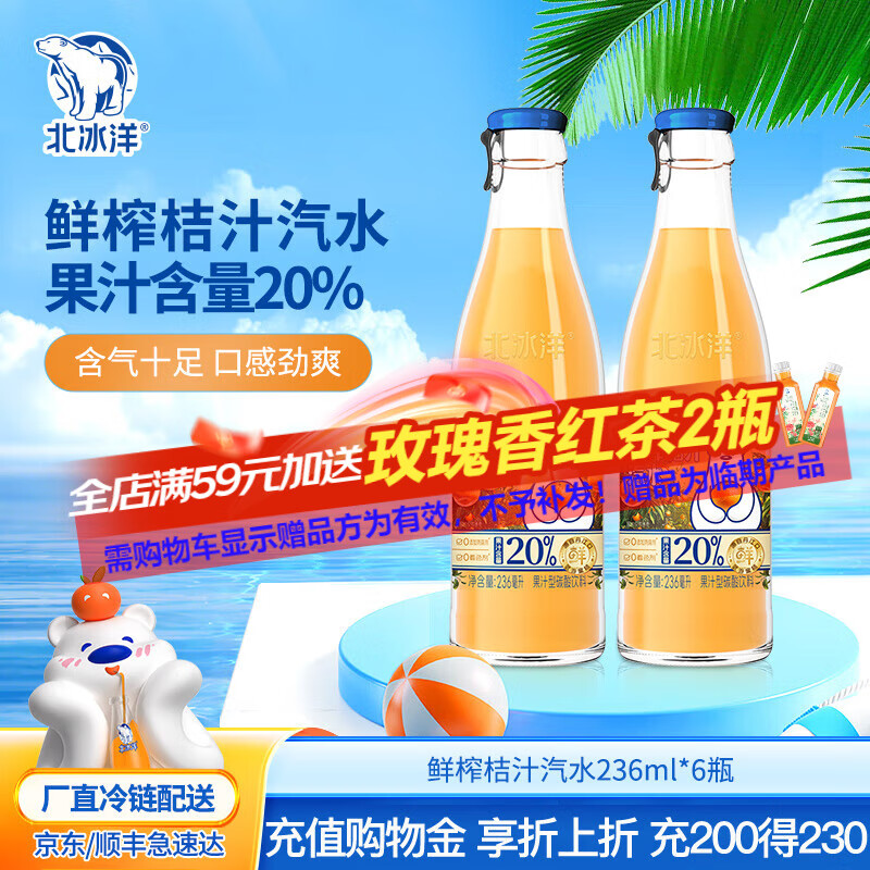 北冰洋北京玻璃瓶果汁碳酸饮料 鲜榨20%含量果汁桔汁汽水 236ml×6瓶