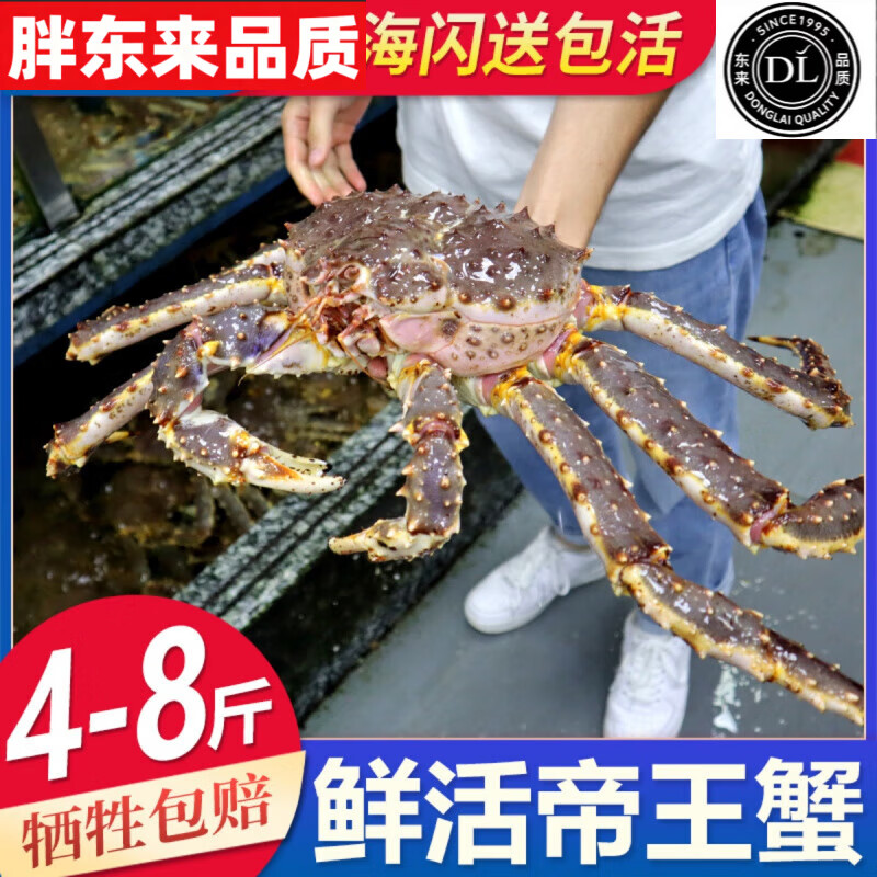 胖东来品质代购蟹鲜活超特大10海鲜水产4-8斤活体长脚蟹帝皇蟹上 6-6.3斤1只【包活到家】