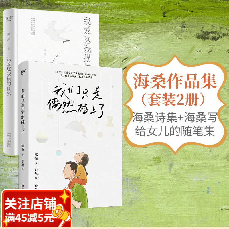 我爱这残损的世界（2023）+我们只是偶然碰上了 海桑作品集套装2册 小嘉推荐  诗歌 我是你流浪过的一个地方作者 用心描述生活细节里的真美 果麦出品