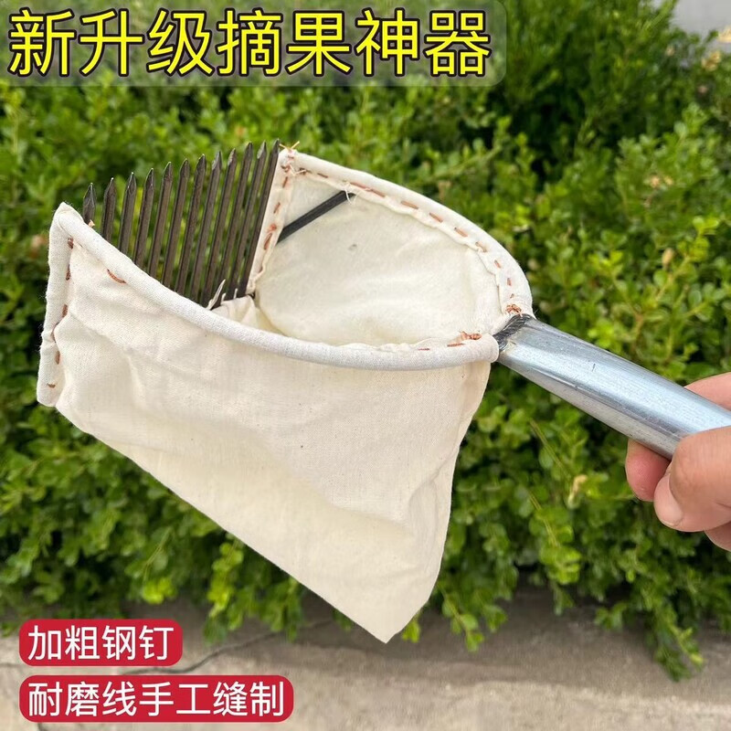 旭杉斯高空摘果神器酸枣山楂枇杷杨梅八角侧柏籽枇杷芒果山杏女贞子