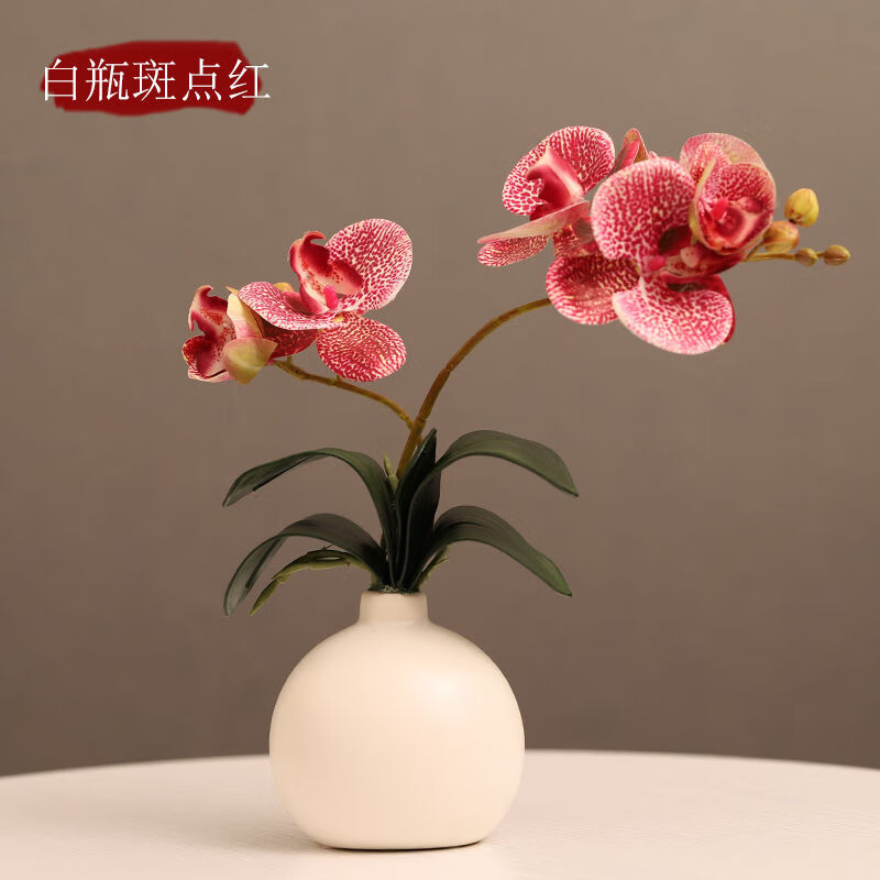 霜魄 空调柜机上的摆花空调柜机上的摆花冰箱上面摆的花顶部柜机装饰