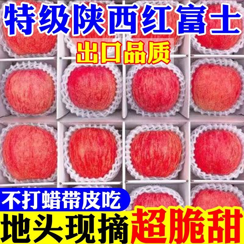 【现摘】正宗洛川苹果当季新鲜水果孕妇脆甜红富士苹果冰糖心水果 膜袋富士70mm+带箱9斤