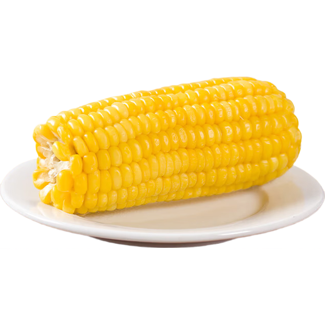 正宗东北黄糯玉米220g*10支 全网最低价 便宜真好吃 【活动】东北黄糯玉米10棒2.2kg