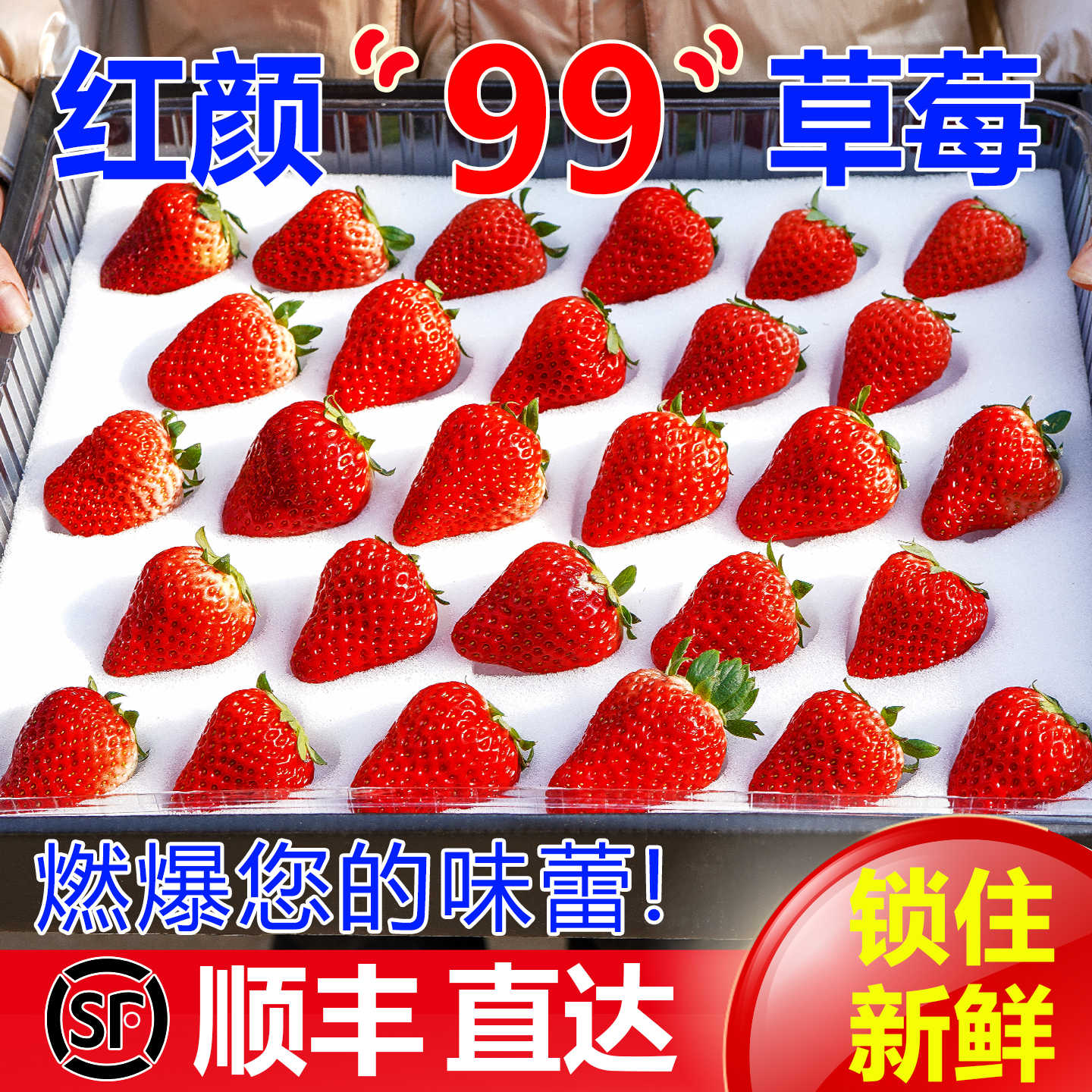 飘香果度【顺丰直达】红颜奶油草莓99红颜草莓新鲜次日达陕西草莓非丹东 净重1000g 大果（单果20-25g）头茬试吃/尝鲜可选 京东折扣/优惠券