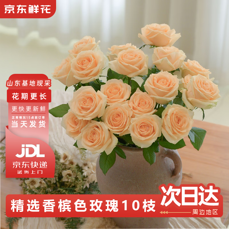 京东鲜花【蜜桃雪山】玫瑰花10枝40cm起发如意基地鲜切花插花生活源头直发