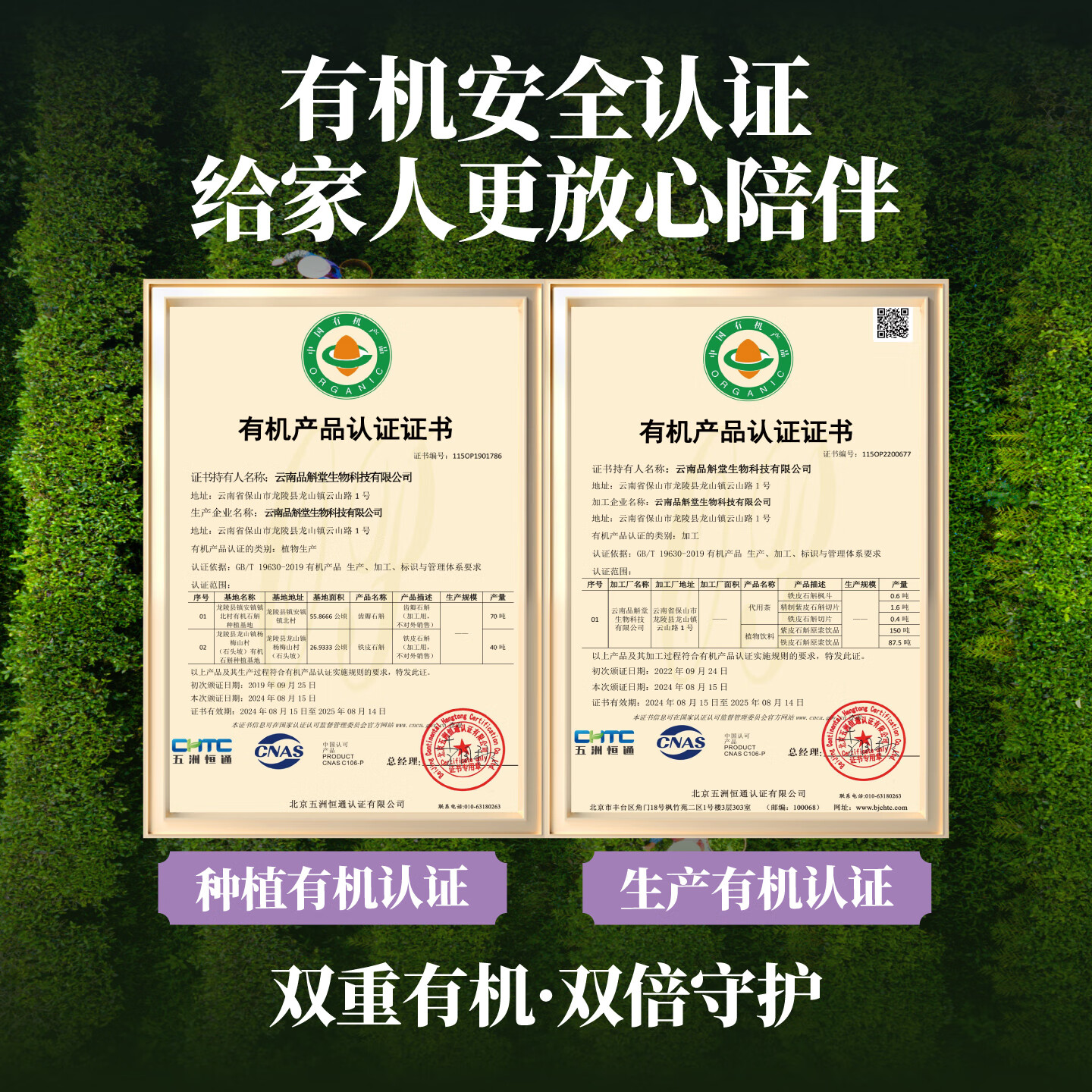 合为养紫皮石斛原浆囤货装云南有机石斛原汁原浆液传统滋补养生饮料饮品 紫皮石斛900*1袋