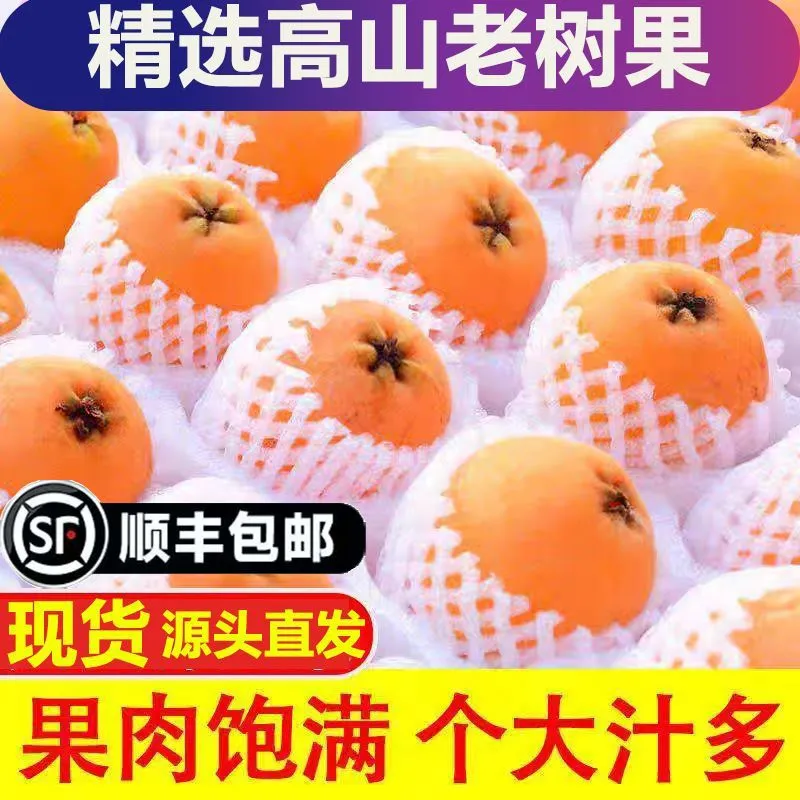 四川攀枝花阳光米易枇杷鲜果现摘当季水果整箱琵琶