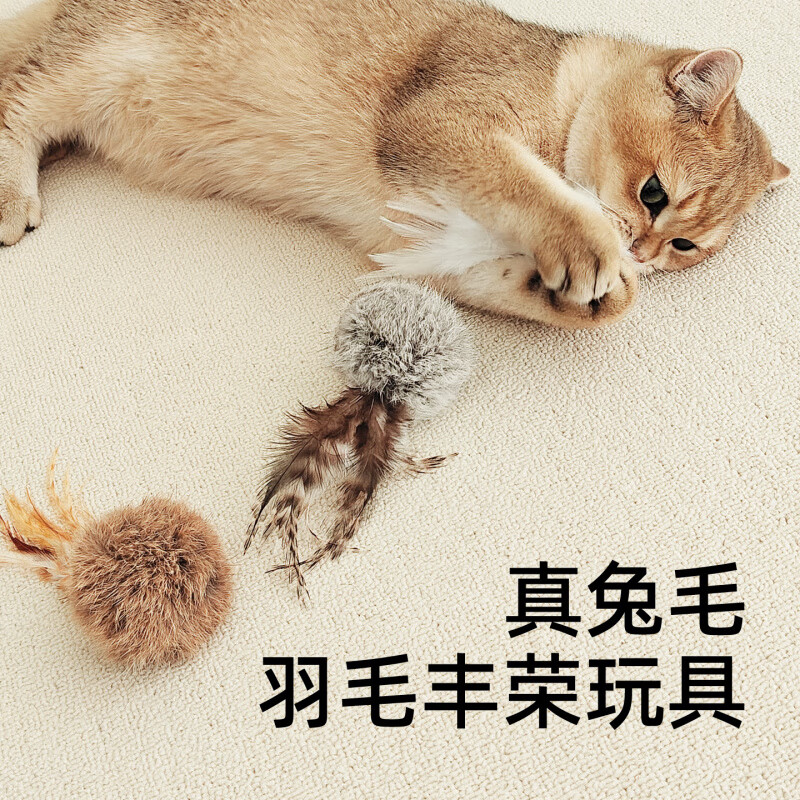 OIMG真兔宠物耐咬猫咪自嗨解闷小猫羽毛逗猫棒静音猫玩具 白兔毛球【羽毛款】