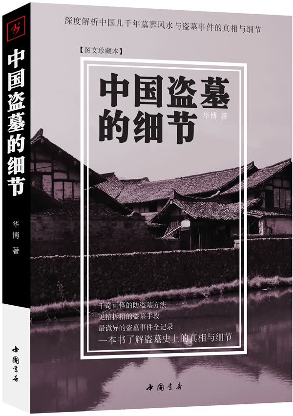 中国盗墓的细节【正版图书】