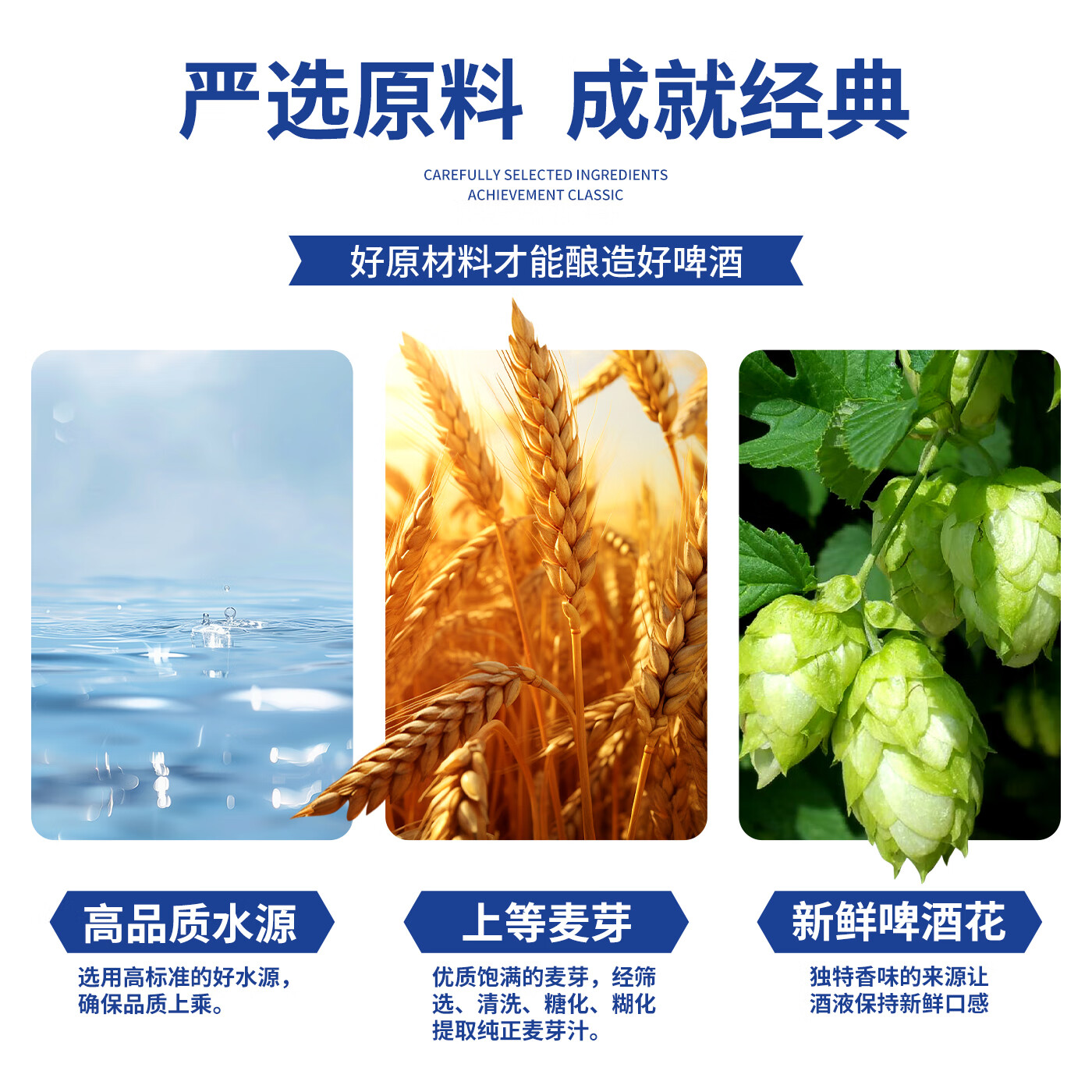 鹏城客比利时风味精酿原浆啤酒白啤整箱深圳品牌澳洲进口全麦芽 精酿白啤 1L 6瓶 整箱装 1箱