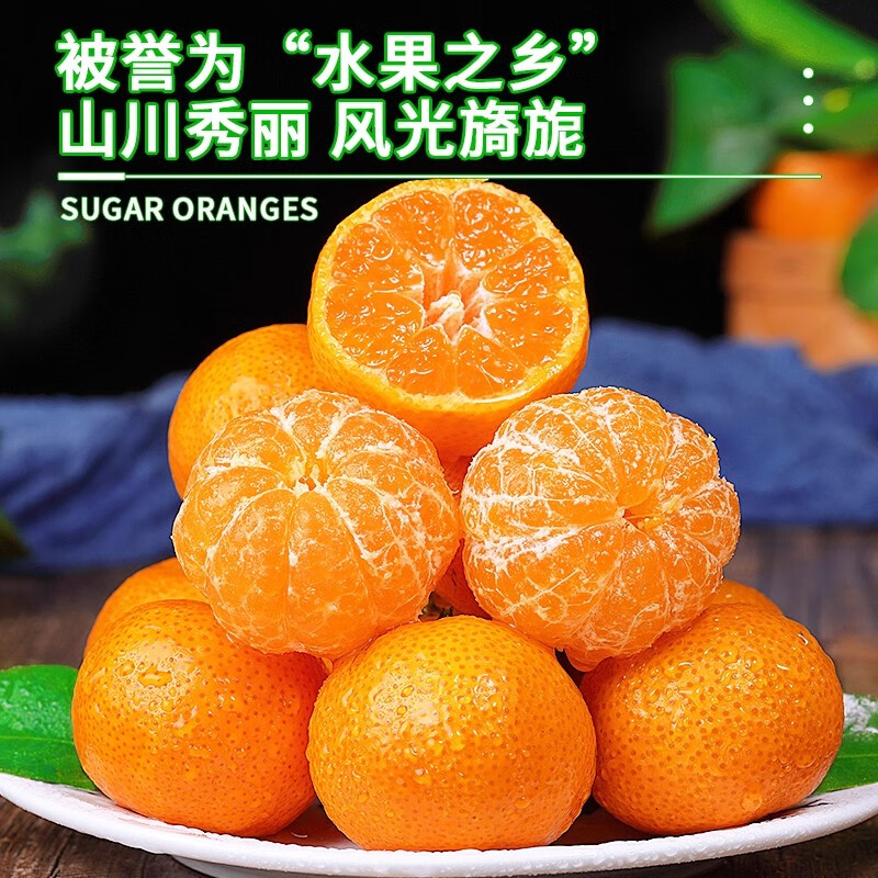 ���� ����ɰ���� ����ɳ�ǽ� ���5�� ����45mm+ ��4.5��