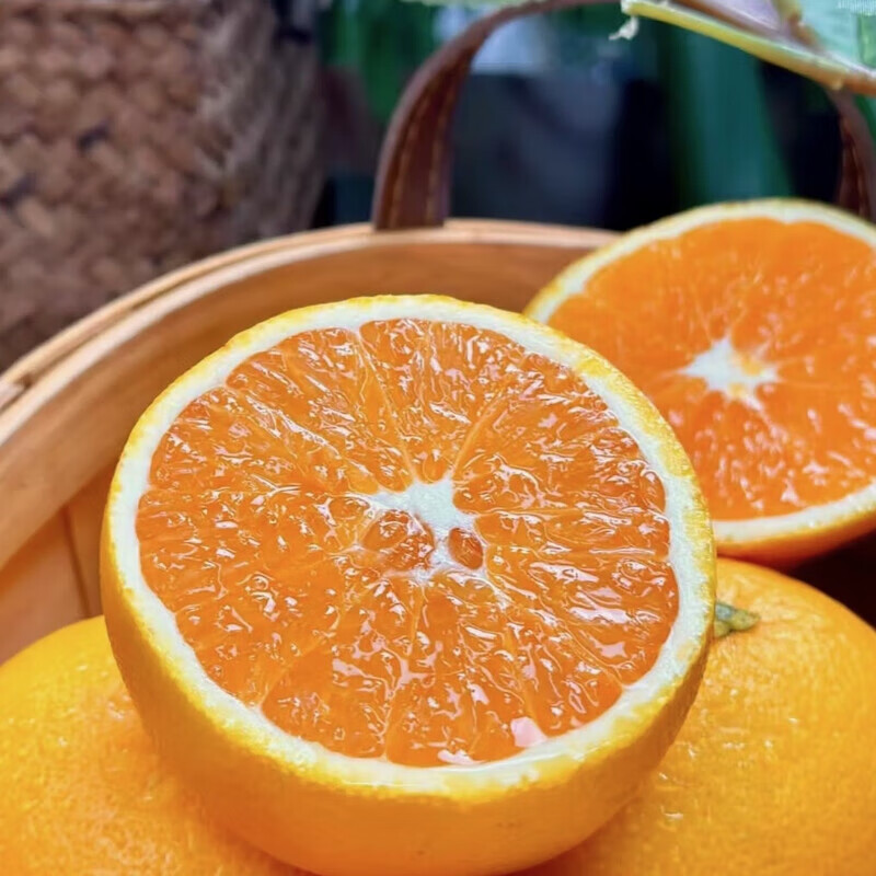 绿熊庄园赣南脐橙正宗江西赣州直发甜橙子新鲜水果冻橙应季特产手剥橙鲜橙 【商超品质】净重4.5斤75mm-90mm