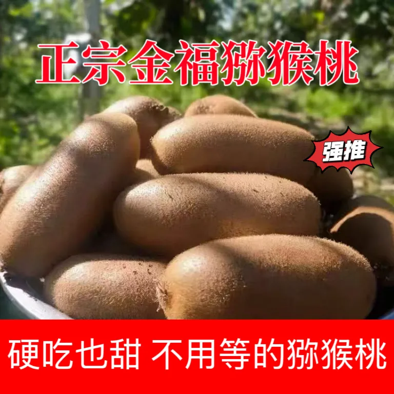 金福猕猴桃绿心猕猴桃应季孕妇当季水果奇异果精品新品种批发价 带箱3斤约22枚左右50-70克