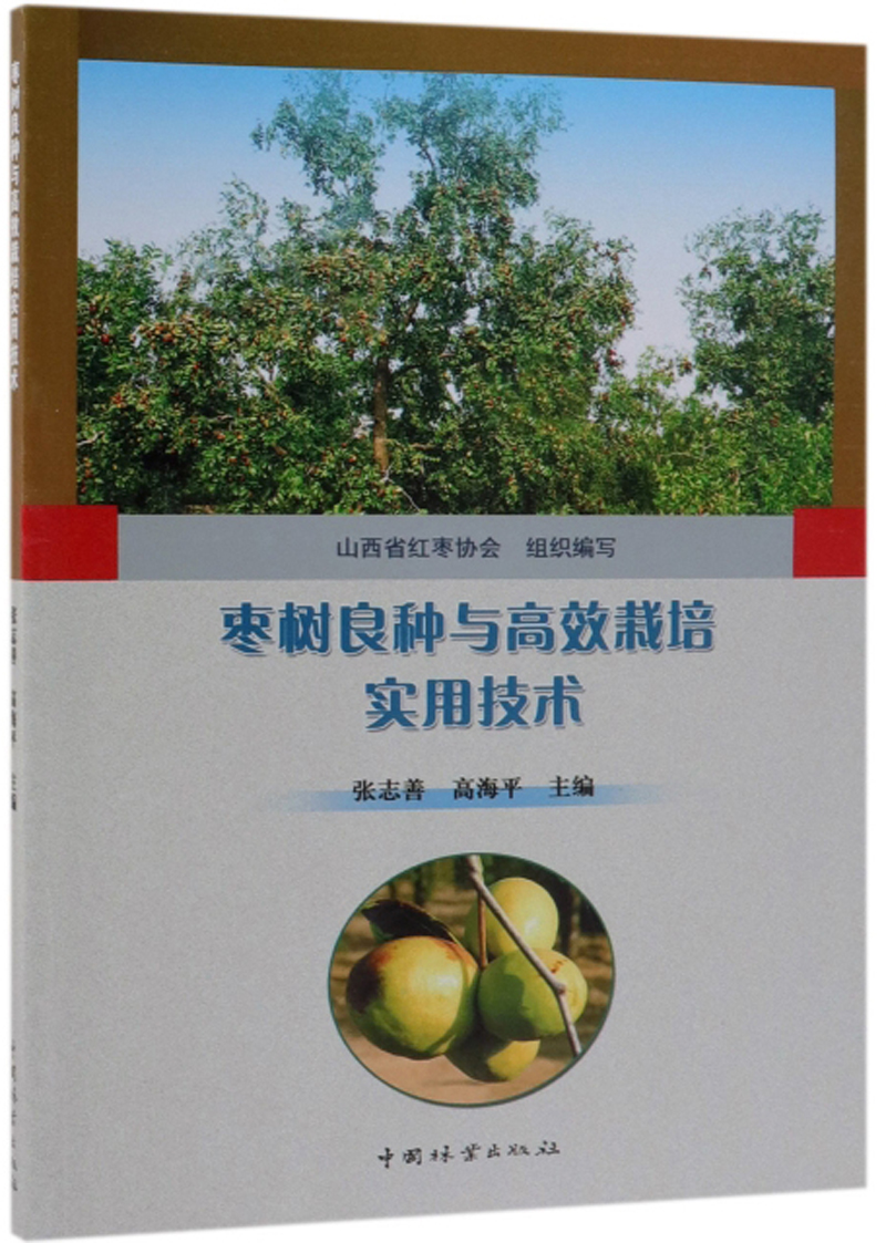 枣树良种与高效栽培实用技术