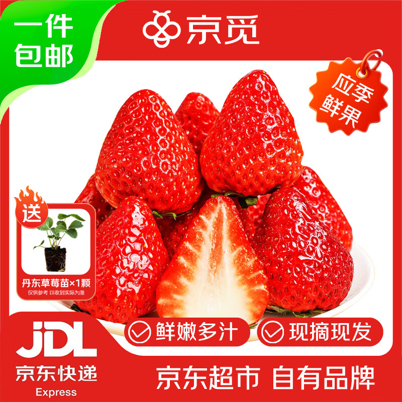 京觅 丹东99红颜奶油草莓1.5斤装单果15-25g新鲜水果源头直发