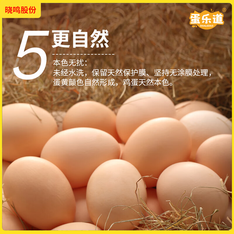 溜达大个鲜鸡蛋红壳谷物喂养非笼养70g盒装6枚原生鸡蛋产地直发 【6枚装】70g/枚大个鸡蛋