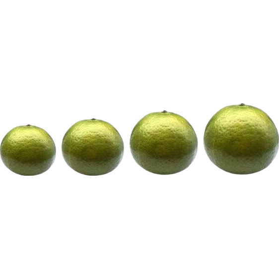 ��ժ�����ʵ۸����ʹ���ˮ�����ٽ����ָ��۽�ɰ�ǽ����� ����2�� 55mm  1.11Ԫ